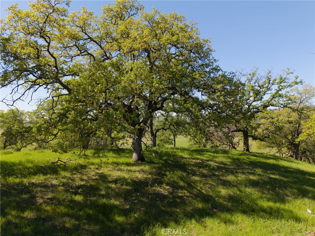 4053 Hidden Valley Road Butte Valley, CA 95965 - Photo 30 of 41