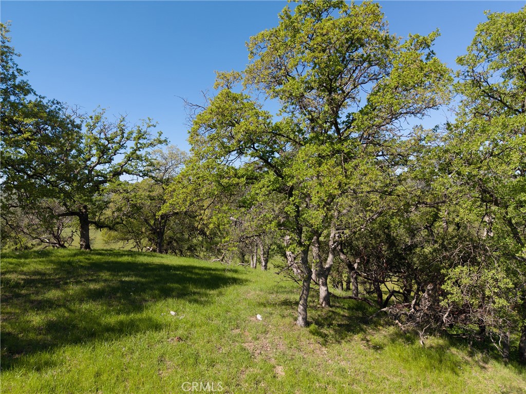 4053 Hidden Valley Road Butte Valley, CA 95965 - Photo 31 of 41