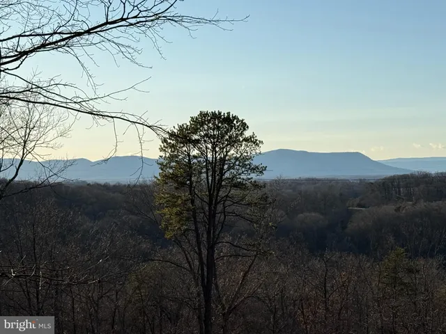 a view of tree in front of a house