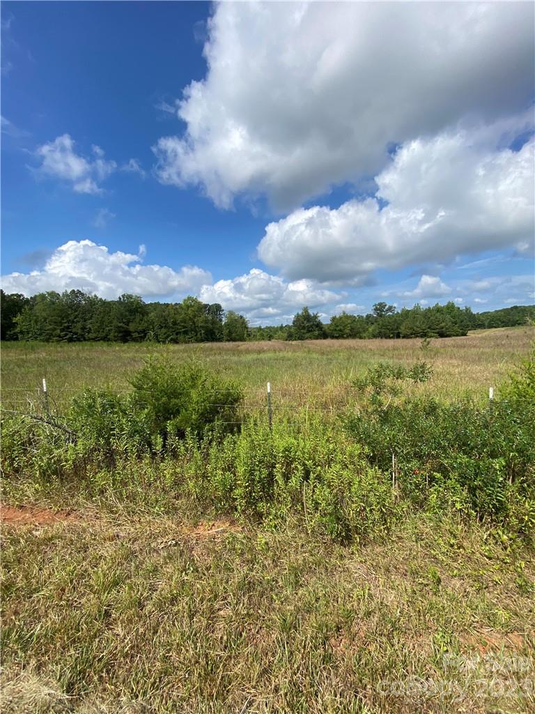 704 Kelly Road, Unit 6 York, SC 29745 - Photo 4 of 5 a view of an lake and yard