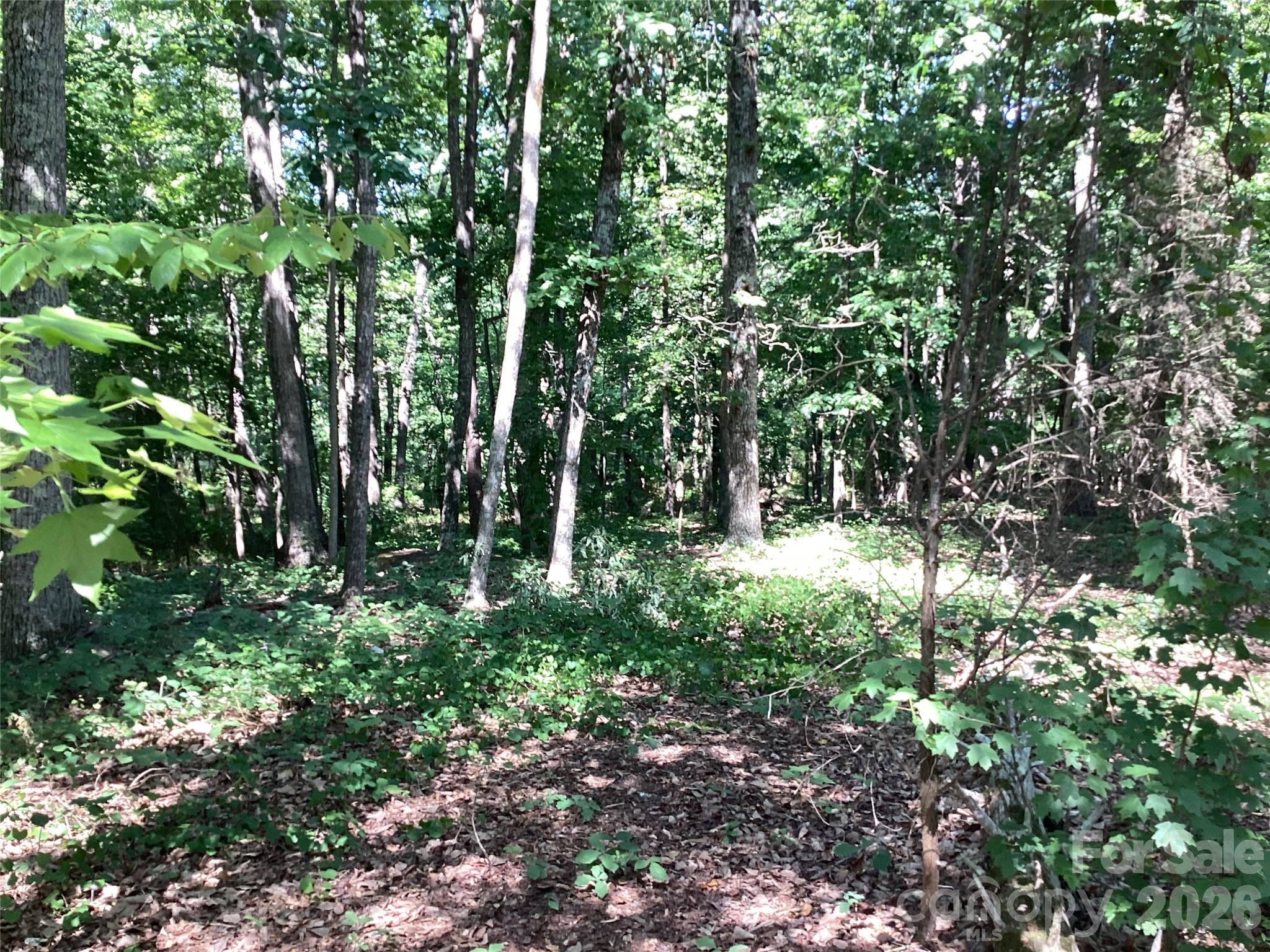 2870 Dunns Mountain Road Salisbury, NC 28146 - Photo 1 of 15
