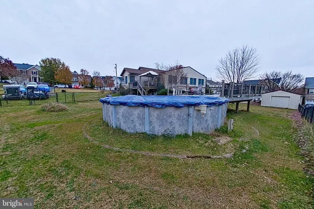 a street view with large trees