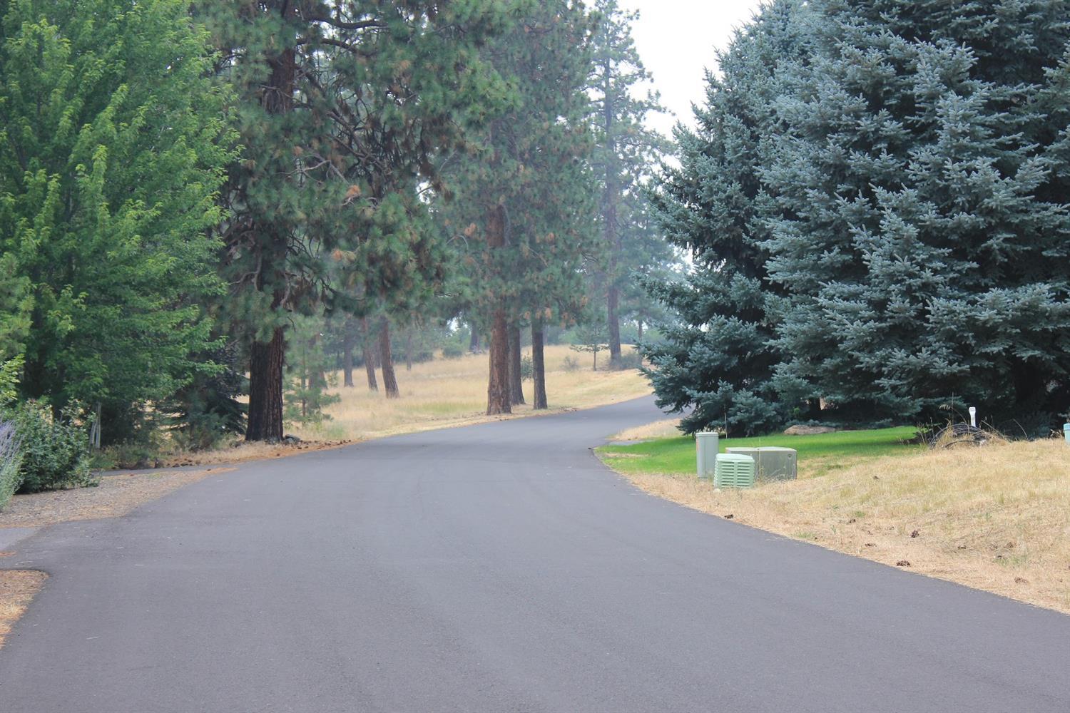 0 Merganser Road Klamath Falls, OR 97601 - Photo 5 of 6 Additional Photo