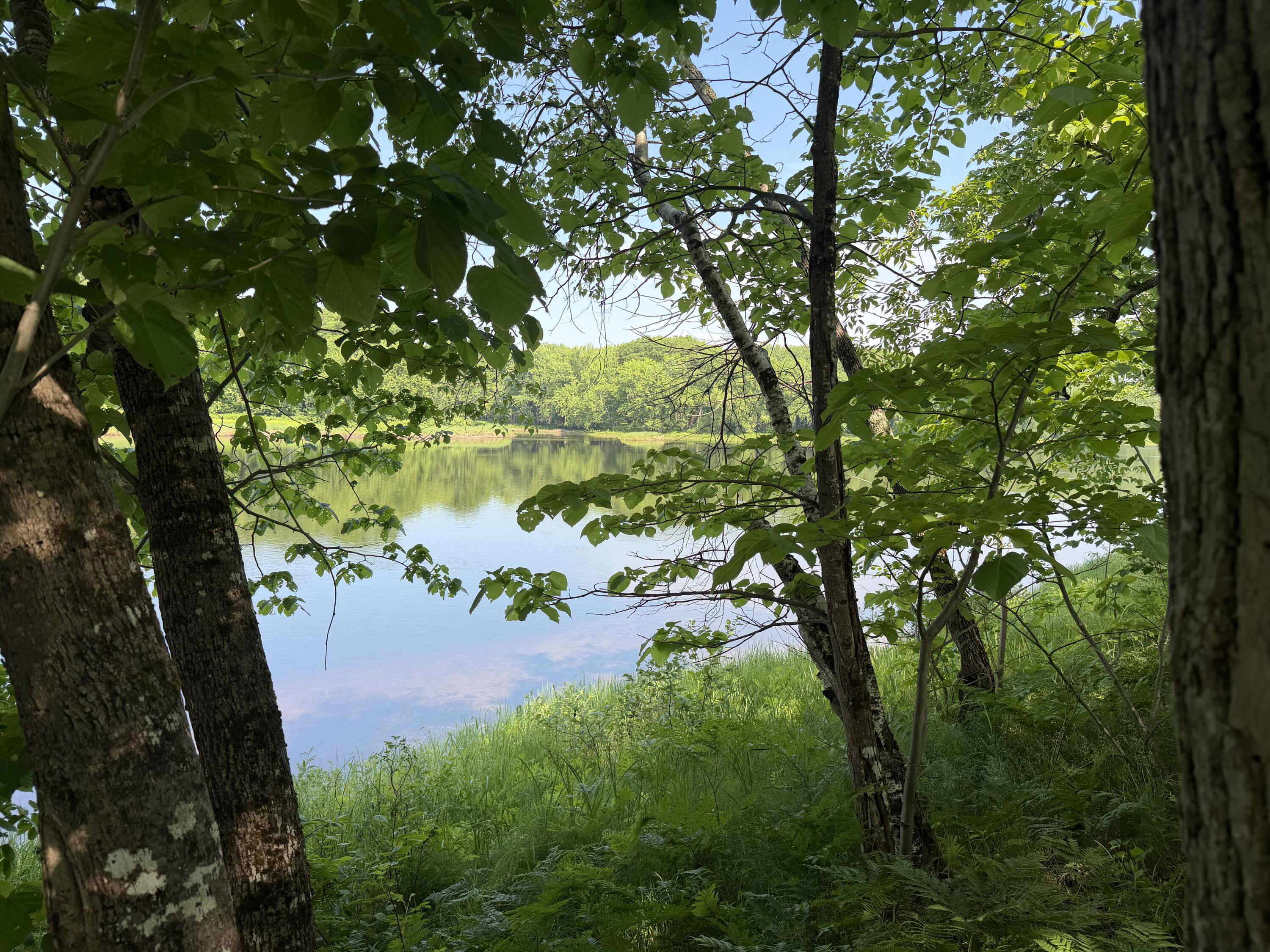 2a Main Road Greenbush, ME 04418 - Photo 3 of 12