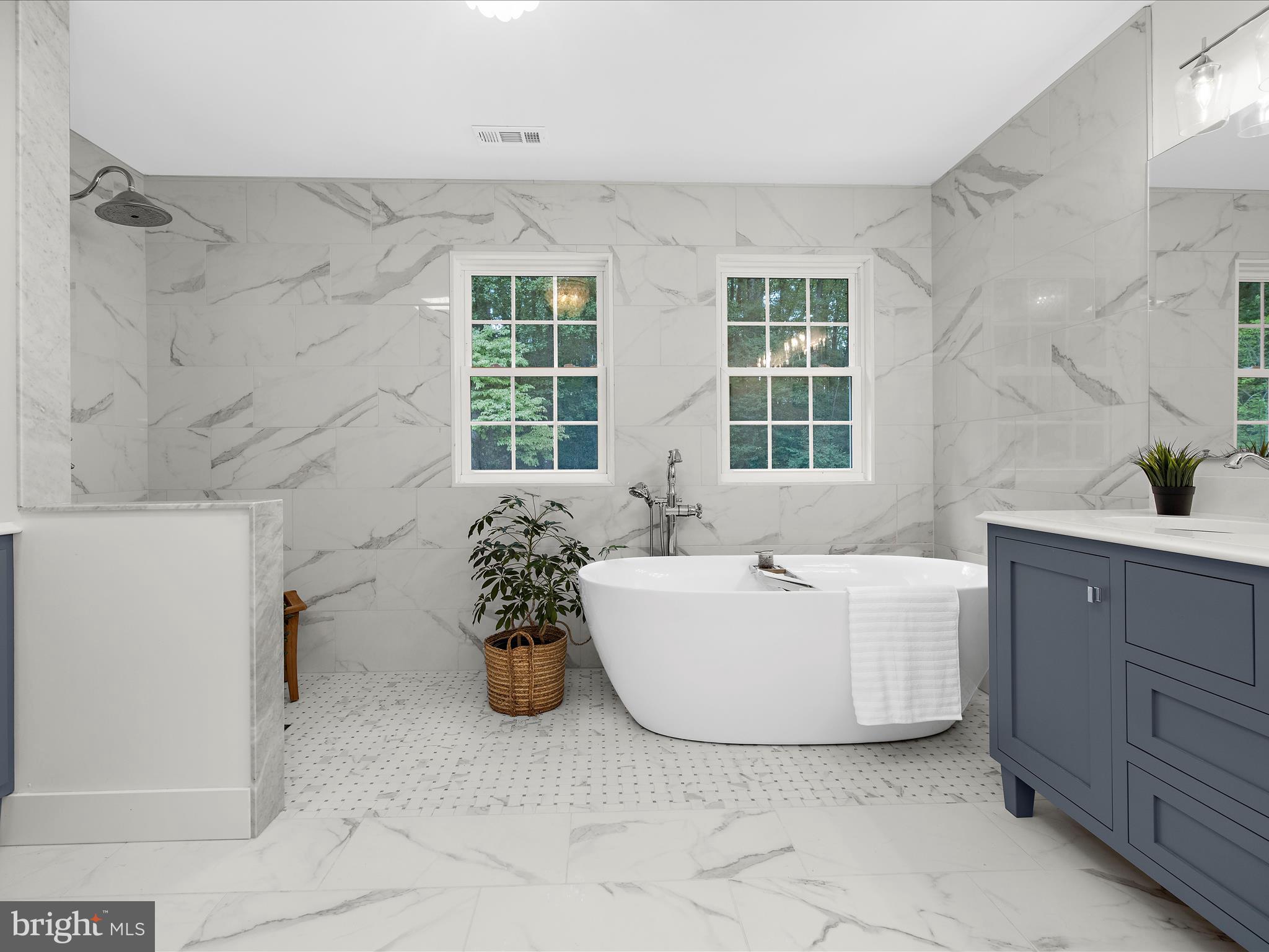 Primary Bath w/ Bluetooth Light/Music Activation