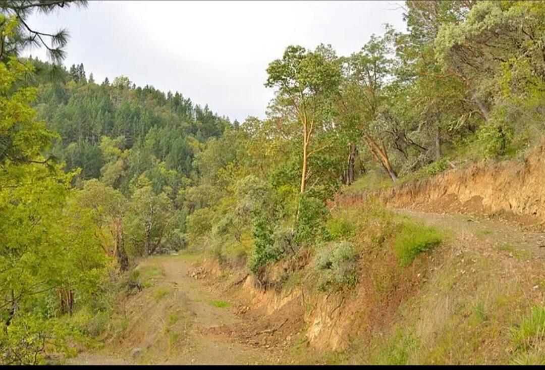 5501 Kane Creek Road Central Point, OR 97502 - Photo 38 of 51 Screenshot_20211220-100553_Chrome