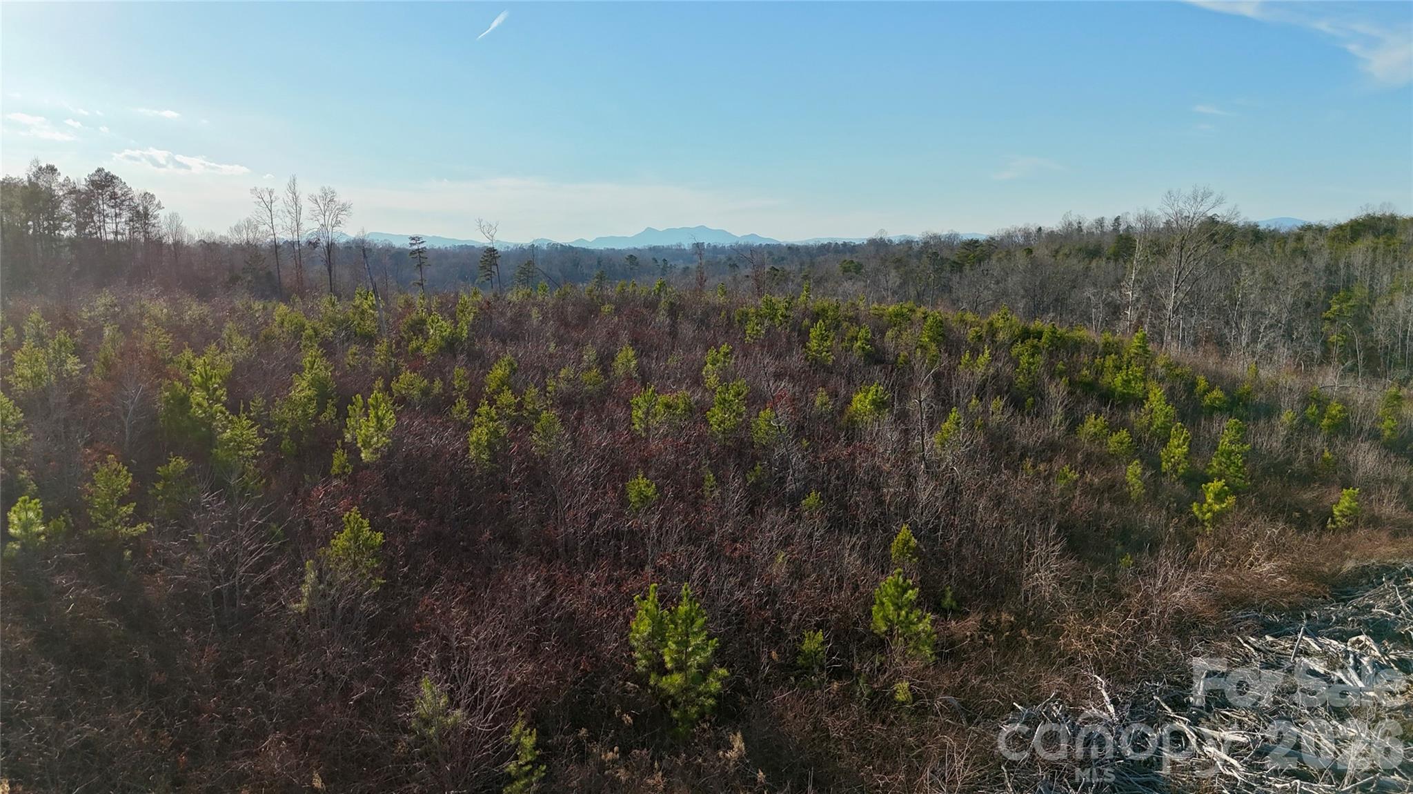 0 Brady Hampton Drive Rutherfordton, NC 28139 - Photo 11 of 27 a view of a city with lush green forest