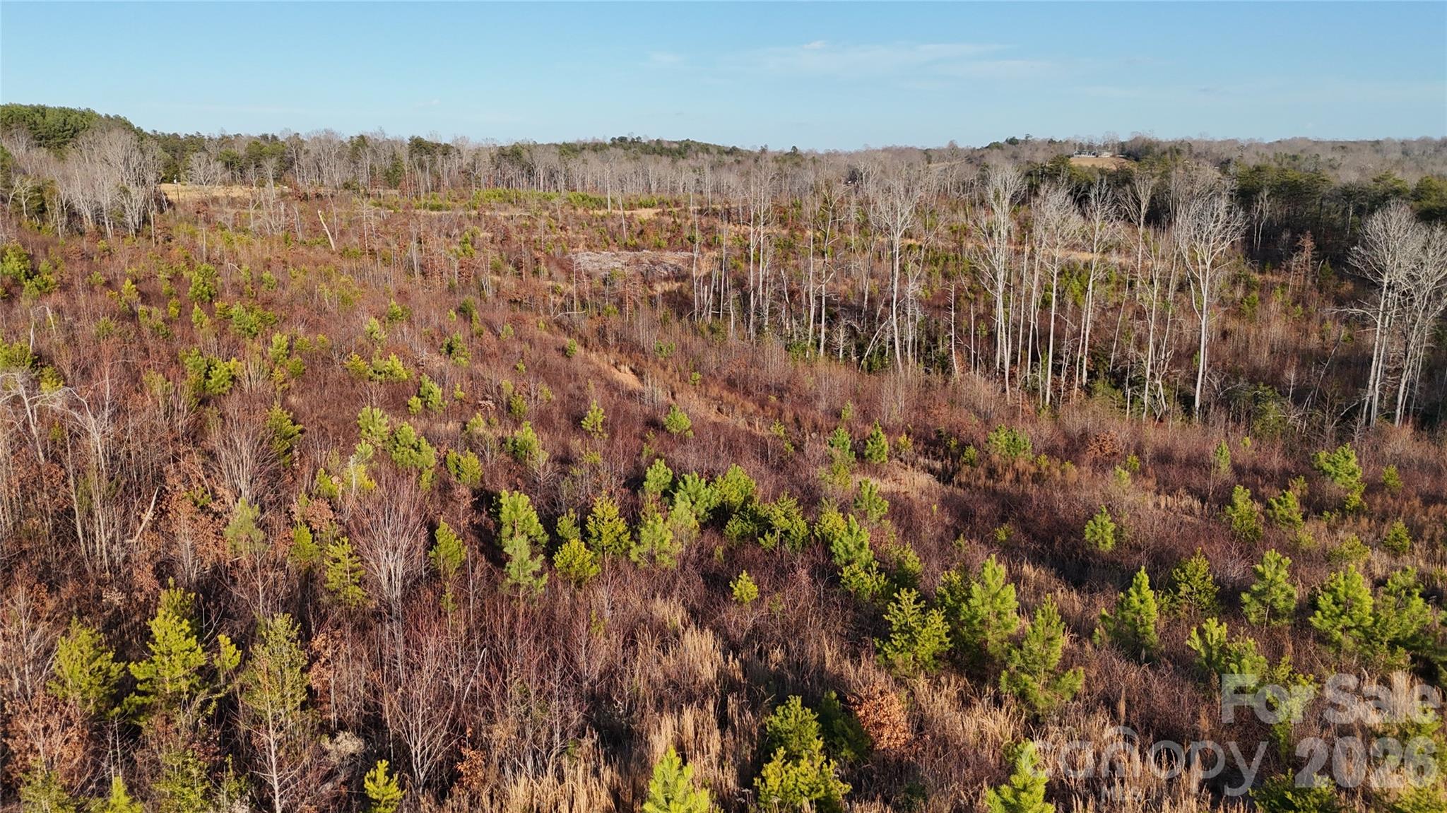 0 Brady Hampton Drive Rutherfordton, NC 28139 - Photo 12 of 27 a view of a bunch of trees and bushes