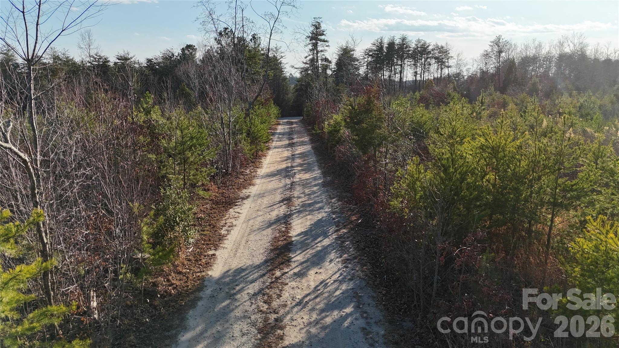 0 Brady Hampton Drive Rutherfordton, NC 28139 - Photo 14 of 27 a view of a forest with a tree in the background