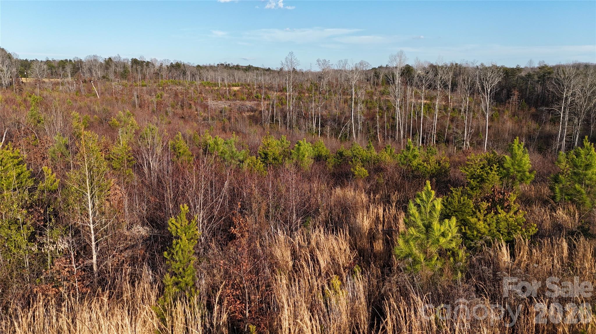 0 Brady Hampton Drive Rutherfordton, NC 28139 - Photo 15 of 27 a view of lake and green space