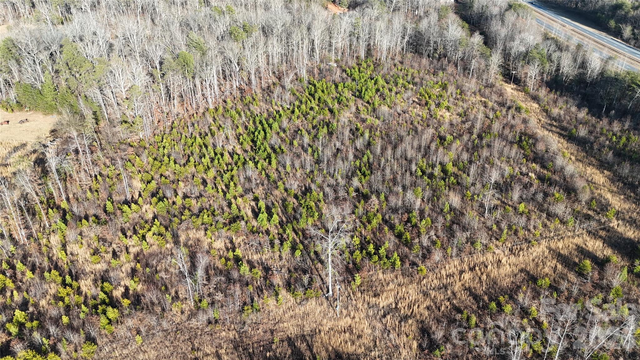 0 Brady Hampton Drive Rutherfordton, NC 28139 - Photo 16 of 27 a view of a yard