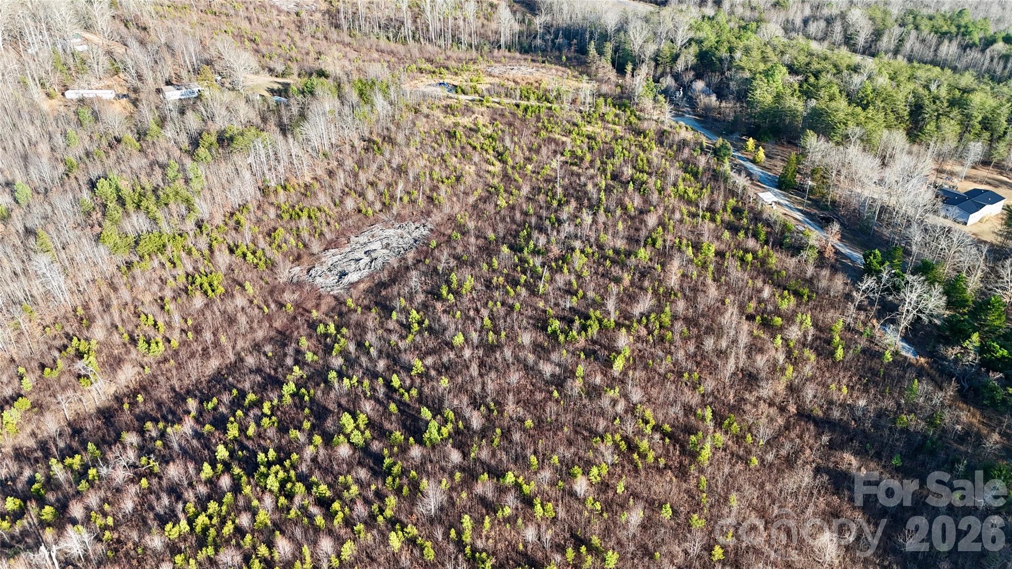 0 Brady Hampton Drive Rutherfordton, NC 28139 - Photo 17 of 27 a backyard of a house