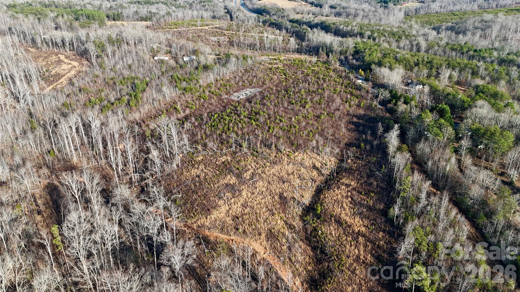 0 Brady Hampton Drive Rutherfordton, NC 28139 - Photo 18 of 27 a view of a yard