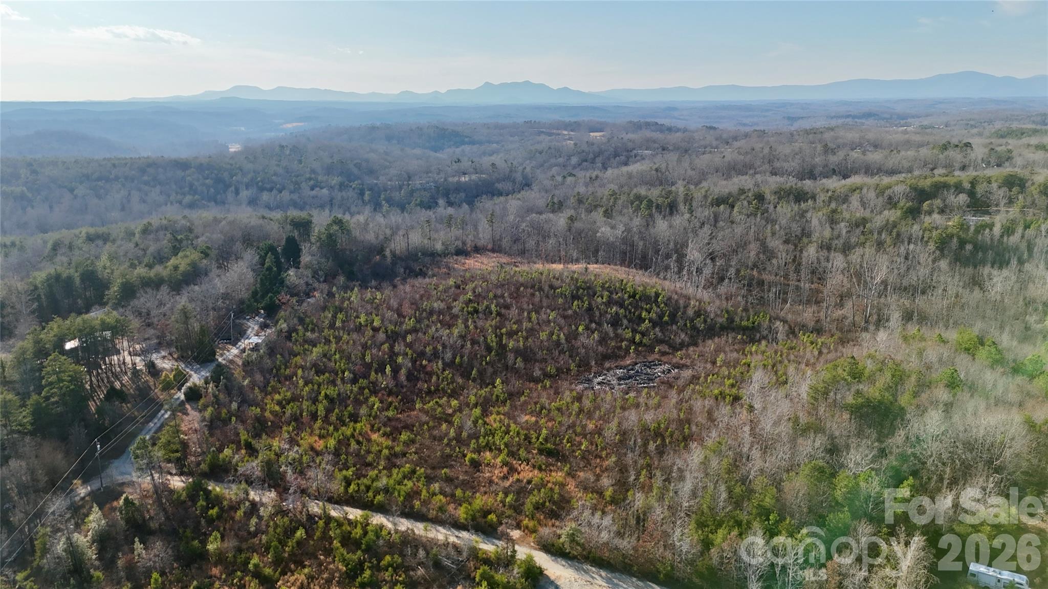0 Brady Hampton Drive Rutherfordton, NC 28139 - Photo 20 of 27 a view of a dry yard with mountains