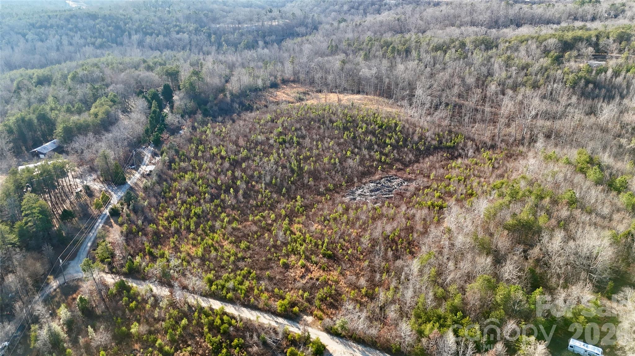 0 Brady Hampton Drive Rutherfordton, NC 28139 - Photo 21 of 27 a view of a yard with a tree