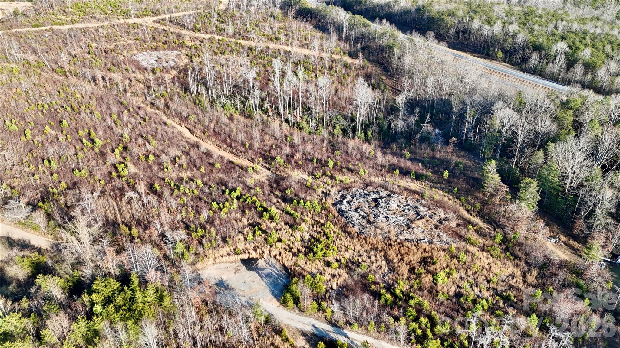 0 Brady Hampton Drive Rutherfordton, NC 28139 - Photo 23 of 27 a view of a field with plants and trees