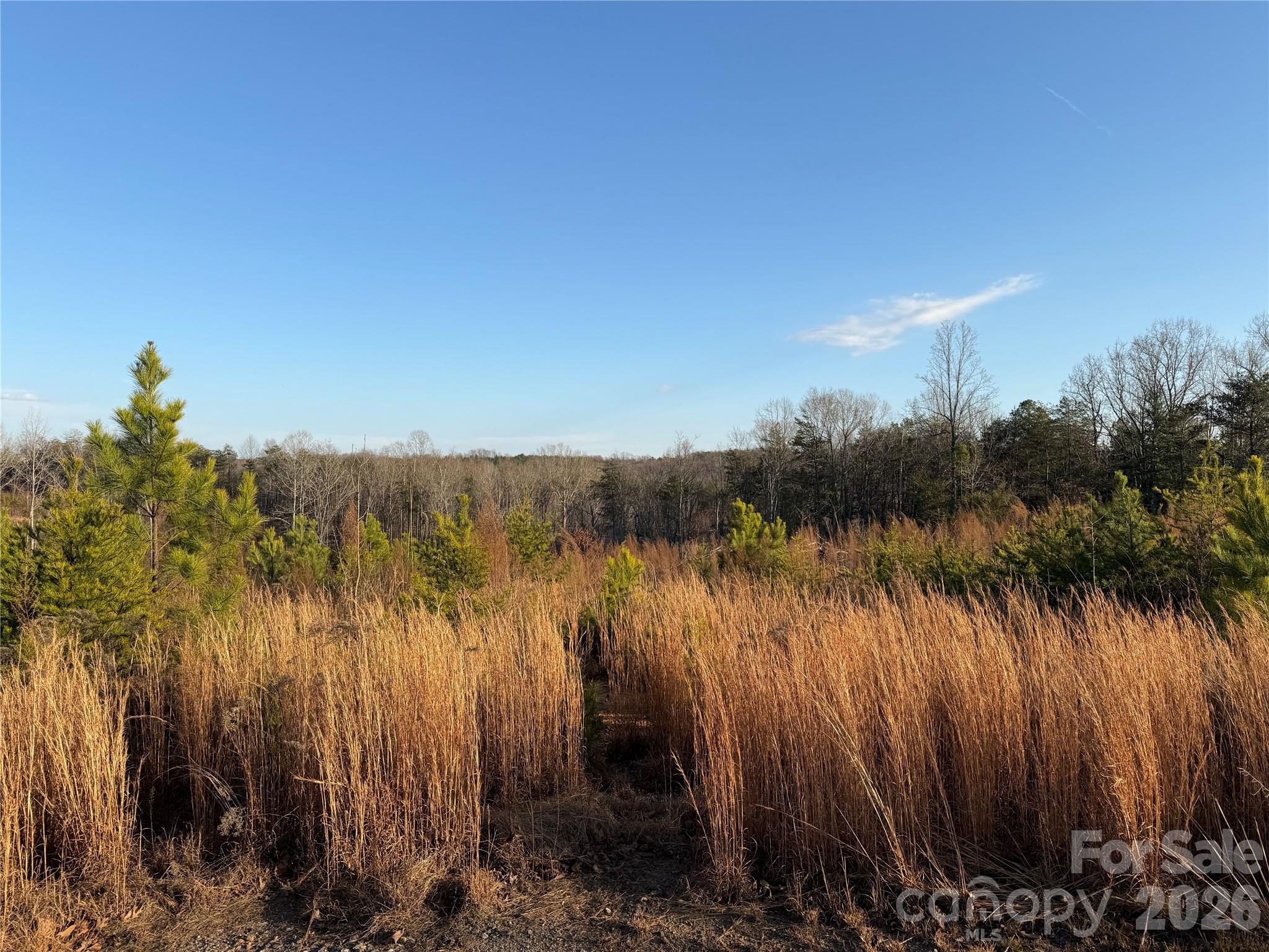 0 Brady Hampton Drive Rutherfordton, NC 28139 - Photo 25 of 27 a view of lake with green space