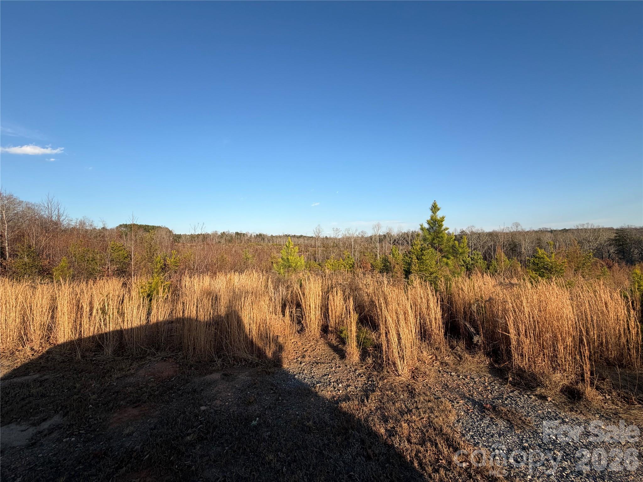 0 Brady Hampton Drive Rutherfordton, NC 28139 - Photo 26 of 27 a view of ocean view and mountain