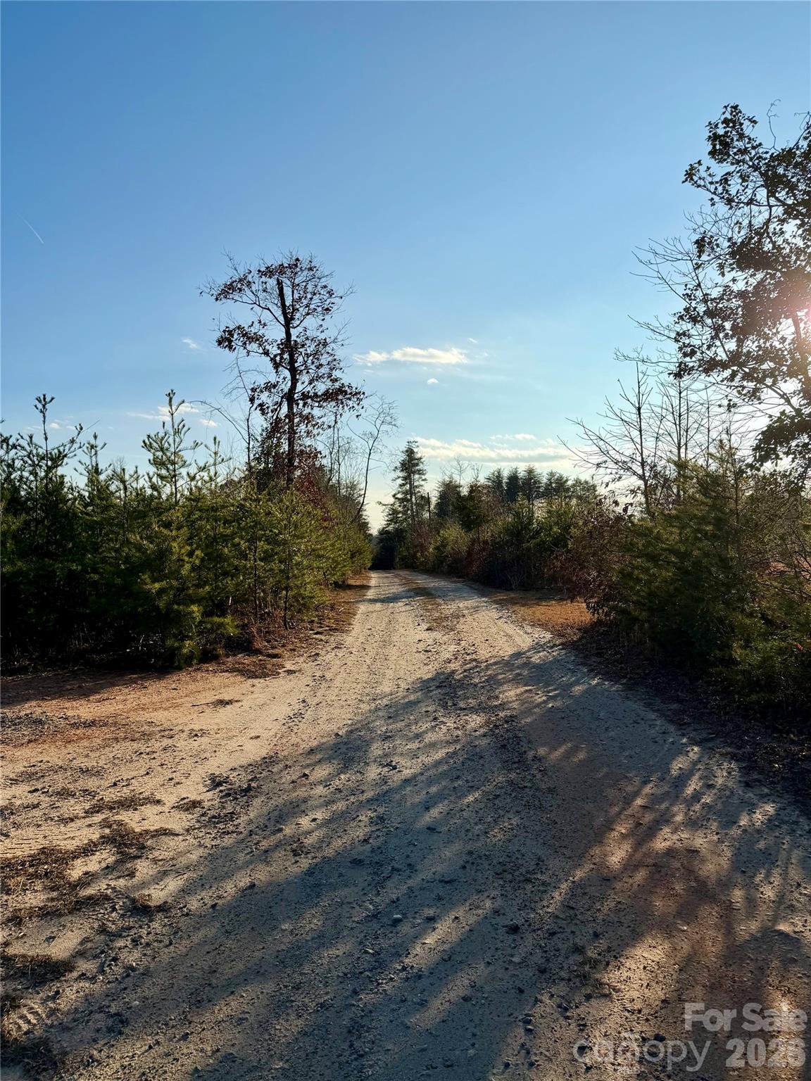 0 Brady Hampton Drive Rutherfordton, NC 28139 - Photo 27 of 27 a view of a yard