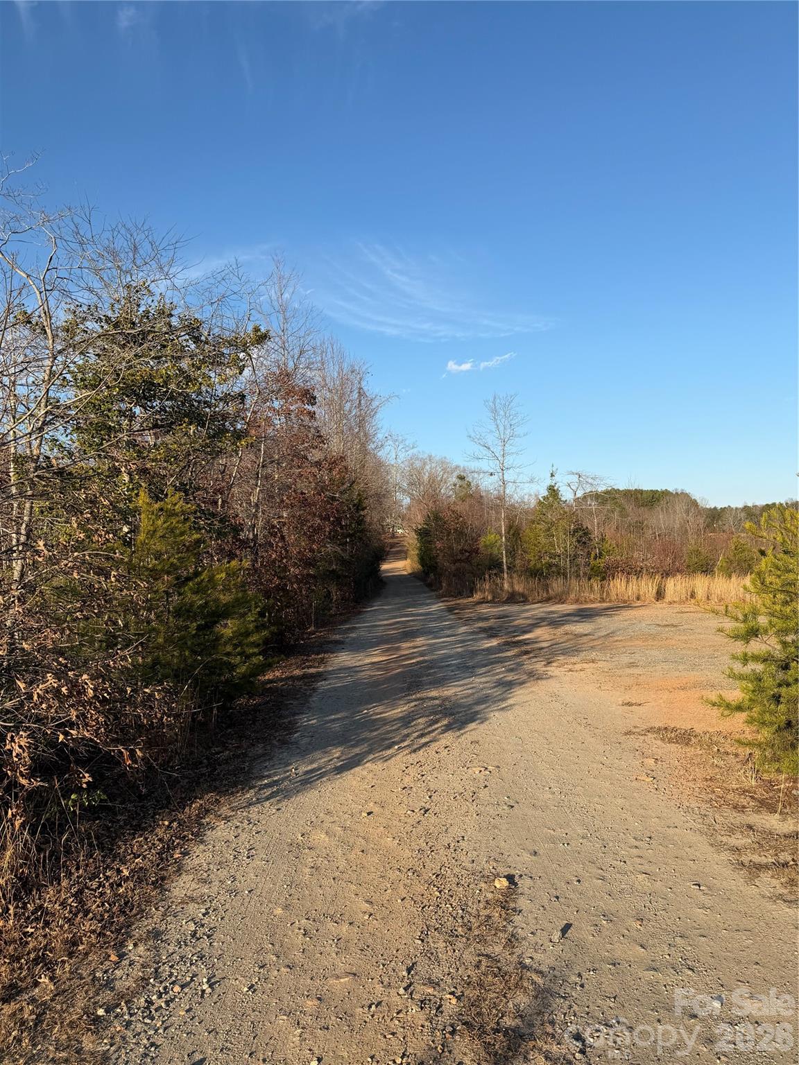 0 Brady Hampton Drive Rutherfordton, NC 28139 - Photo 4 of 27 a view of a lake with a mountain in the background