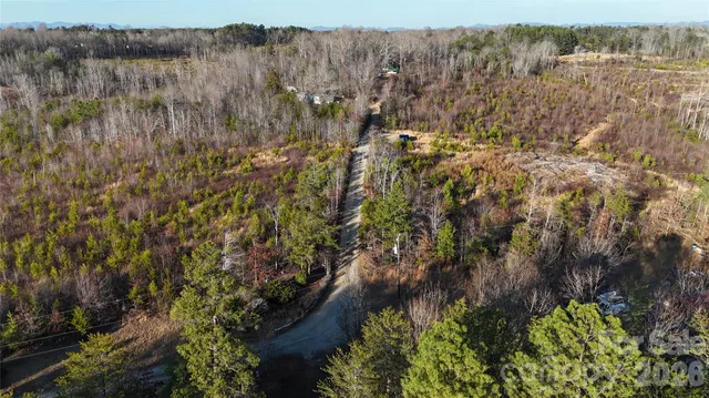 a view of a lot of trees and bushes