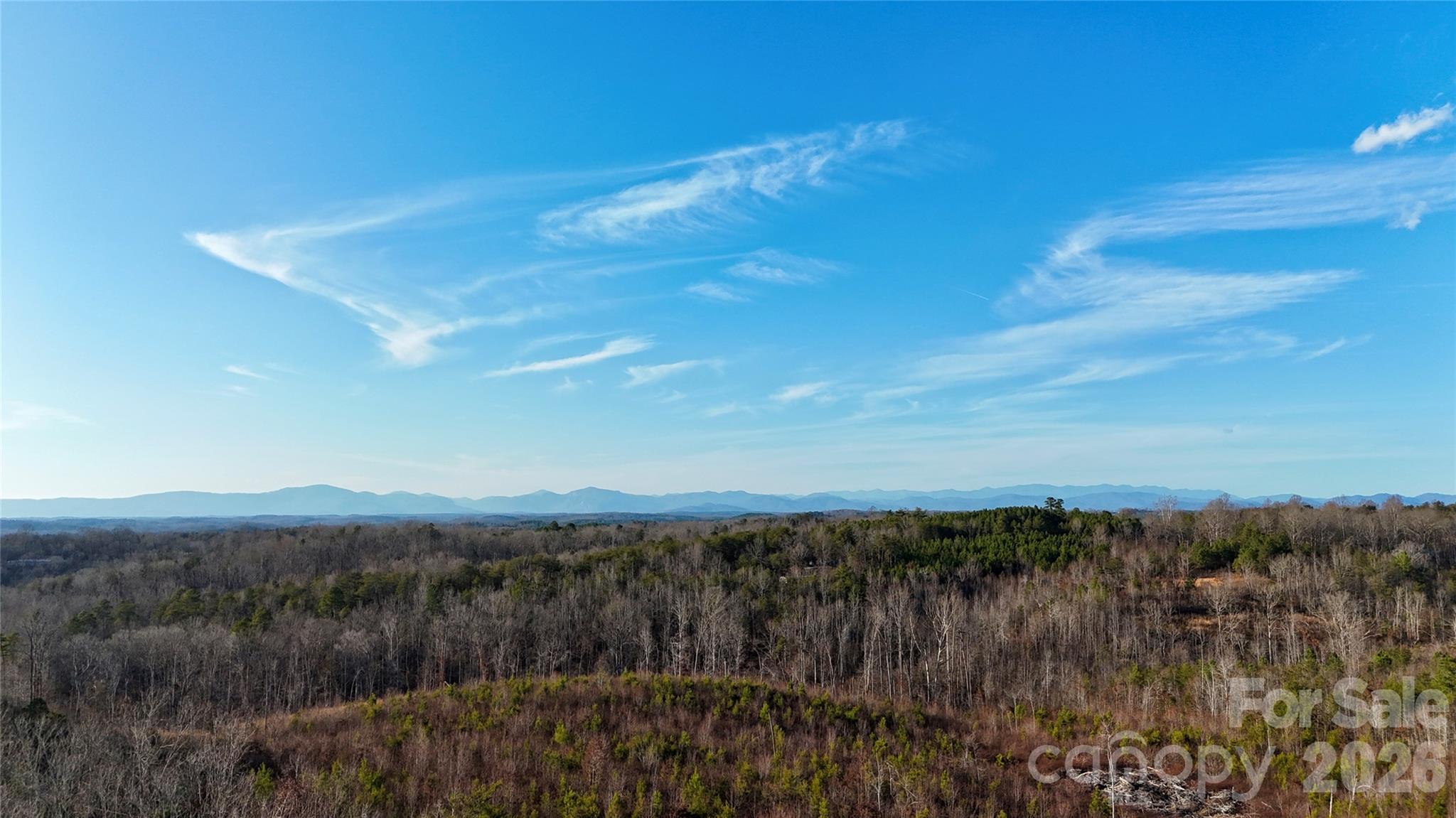 0 Brady Hampton Drive Rutherfordton, NC 28139 - Photo 9 of 27 a view of a city