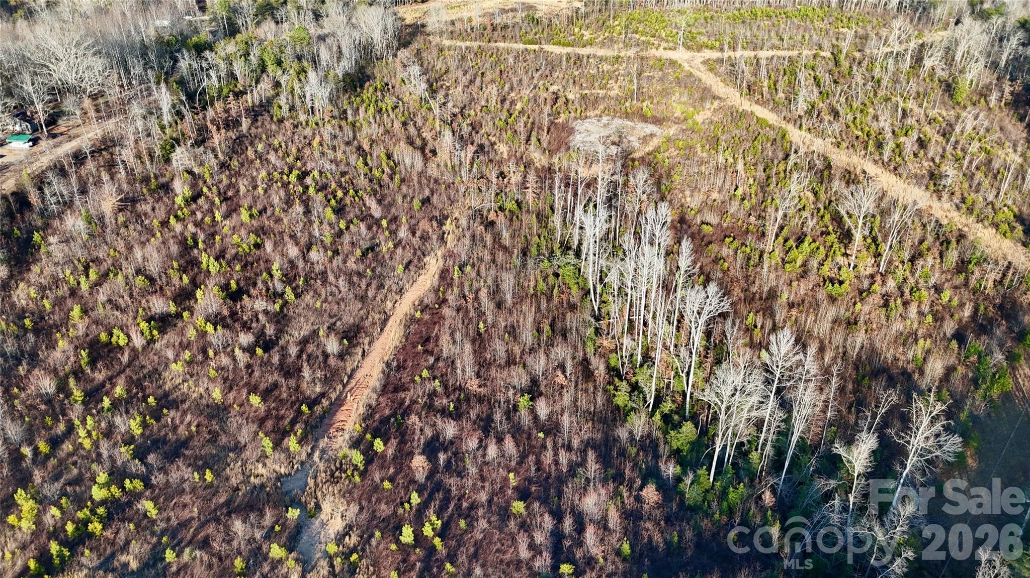 0 Brady Hampton Drive Rutherfordton, NC 28139 - Photo 10 of 27 a close up of a plant