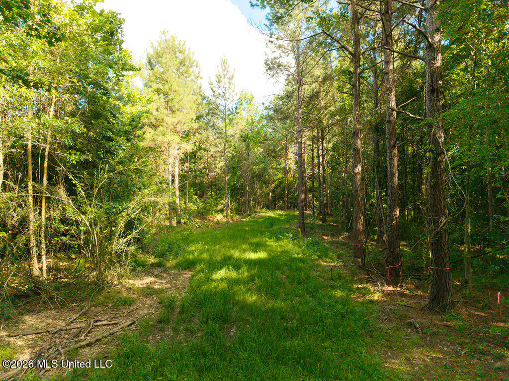 Trickhambridge Road Brandon, MS 39042 - Photo 23 of 30 dji_fly_20260610_165120_0204_17811285819