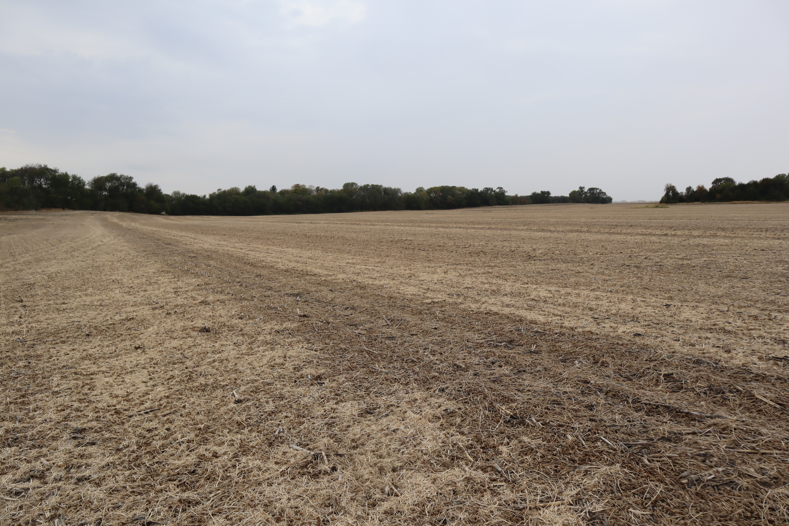 21111 East 550th Street Sheffield, IL 61361 - Photo 3 of 8