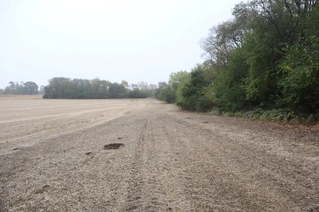 a view of an ocean beach