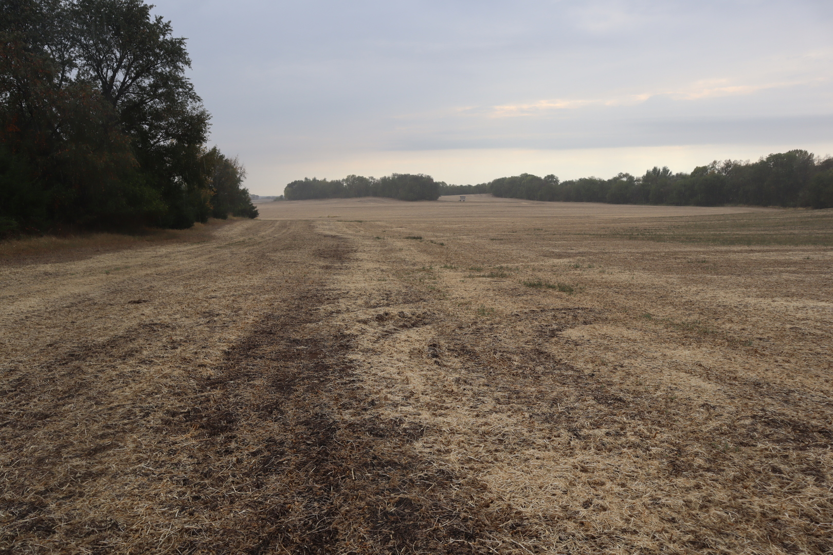 21111 East 550th Street Sheffield, IL 61361 - Photo 6 of 8