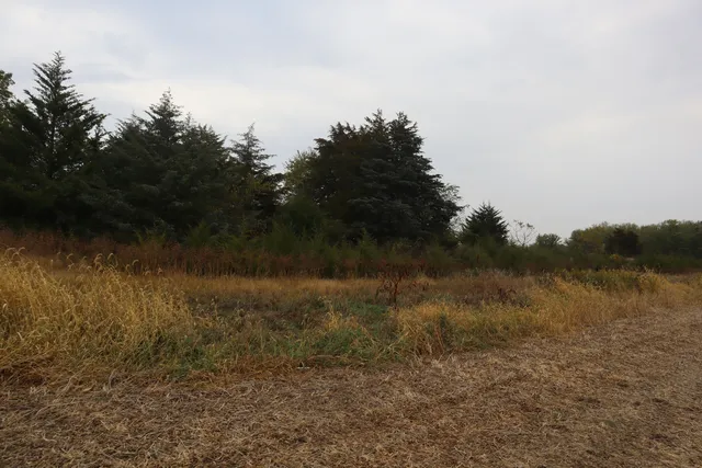 a view of a lake with trees in the background