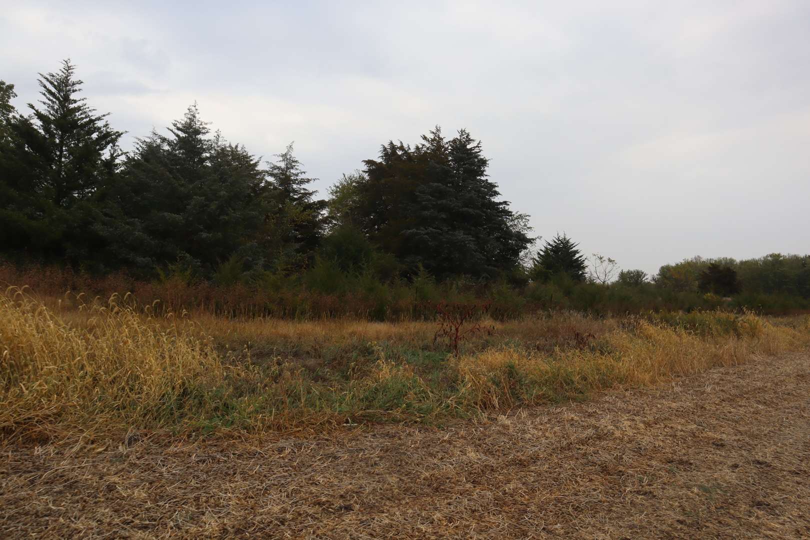 21111 East 550th Street Sheffield, IL 61361 - Photo 7 of 8