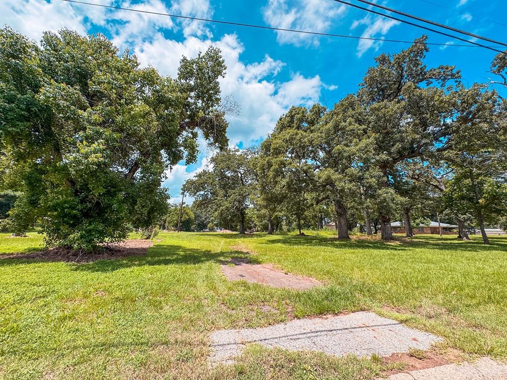 1711 West Point Tap Road Palestine, TX 75803 - Photo 1 of 17