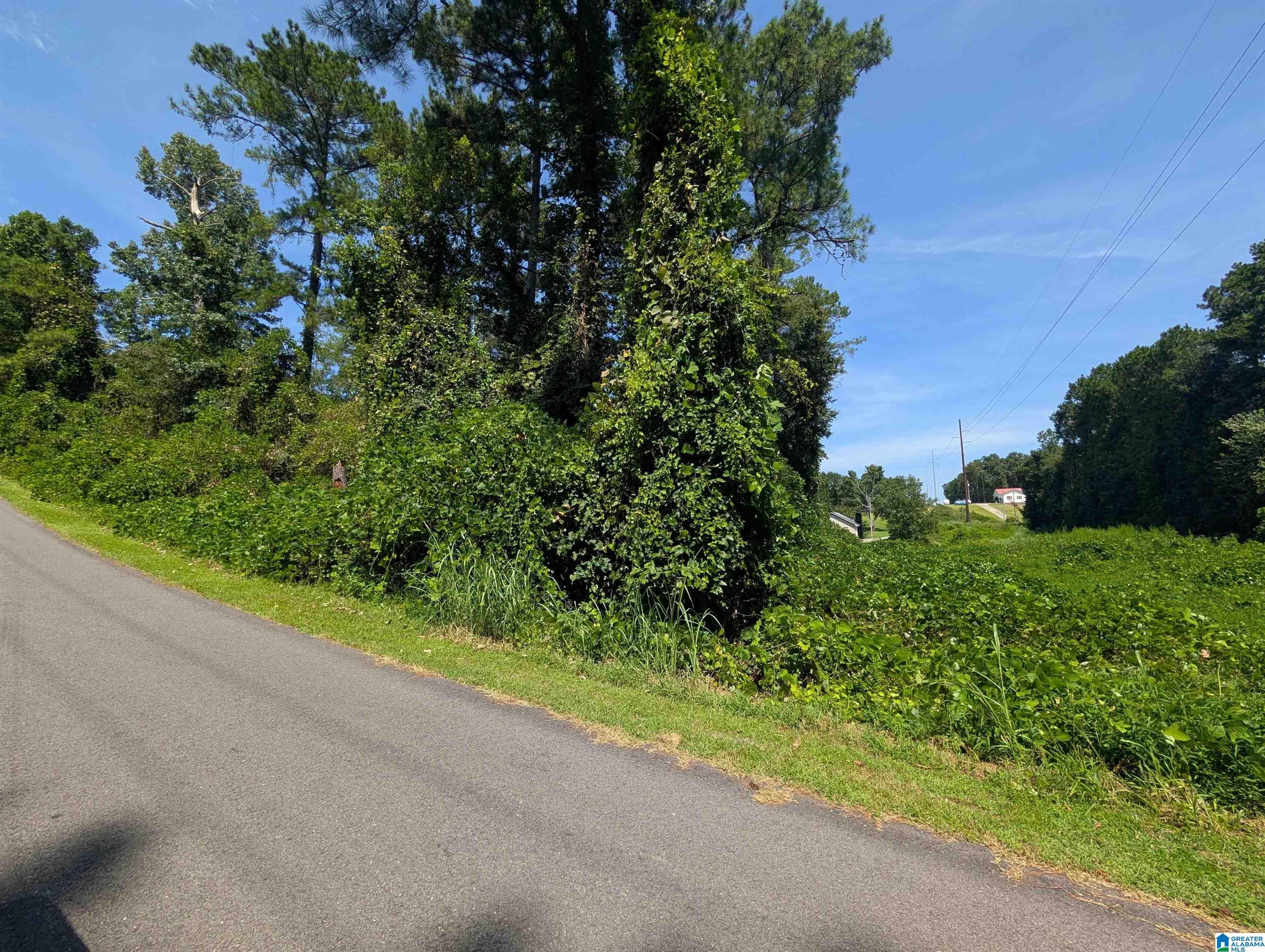 0 Hilltop Road Weaver, AL 36277 - Photo 1 of 18 Gallery Image 1