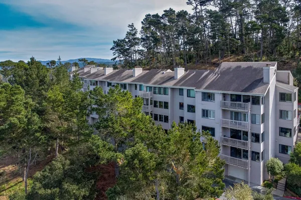 a view of a large building with a yard and plants