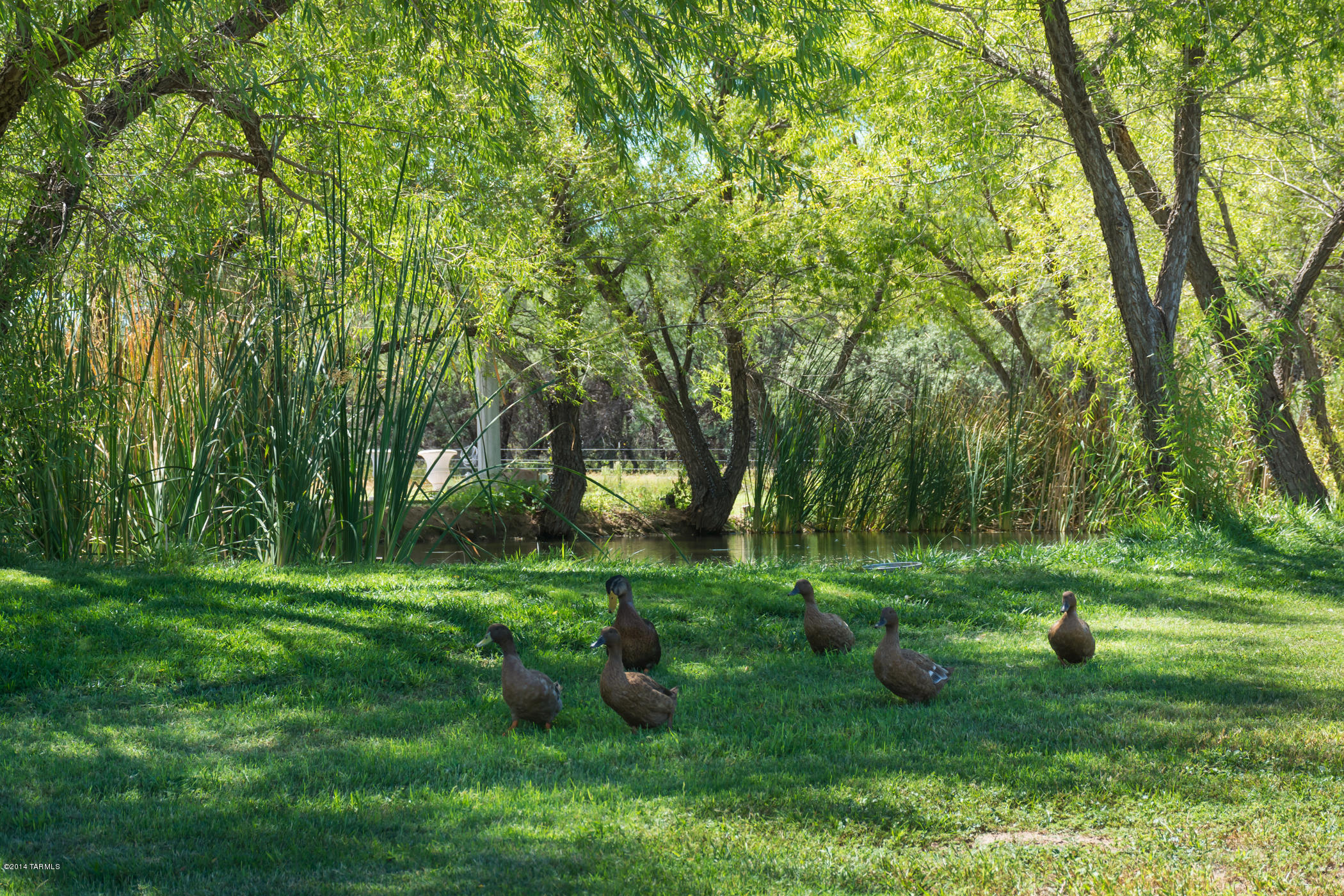 170 South Apache Powder Road St. David, AZ 85630 - Photo 41 of 48 Gallery Image 41