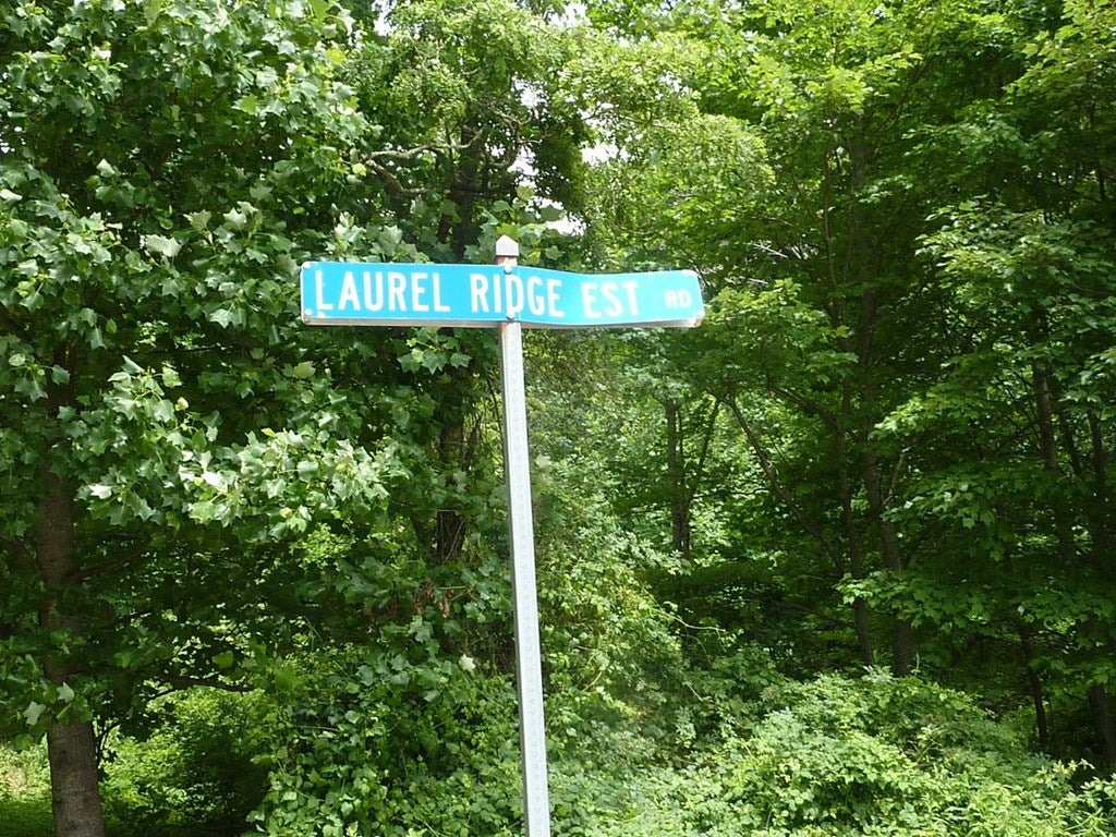 Tbd Laurel Ridge Estate Road, Unit 12 Meadows Of Dan, VA 24120 - Photo 5 of 9 Gallery Image 5