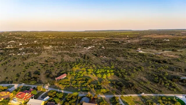 a view of a bunch of flowers and trees in a yard