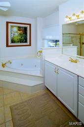 11299 Manchester Road, Unit 3A St. Louis, MO 63122 - Photo 18 of 23 Gallery Image 18