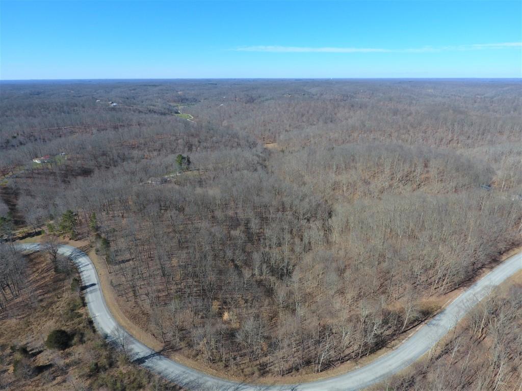 4298 Chestnut Ridge Road Columbia, TN 38401 - Photo 1 of 18 a view of a dry yard