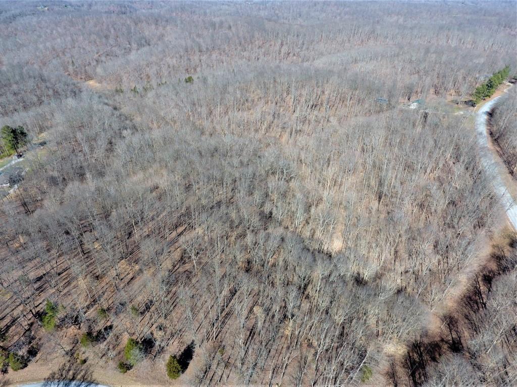 4298 Chestnut Ridge Road Columbia, TN 38401 - Photo 3 of 18 a view of a dry yard