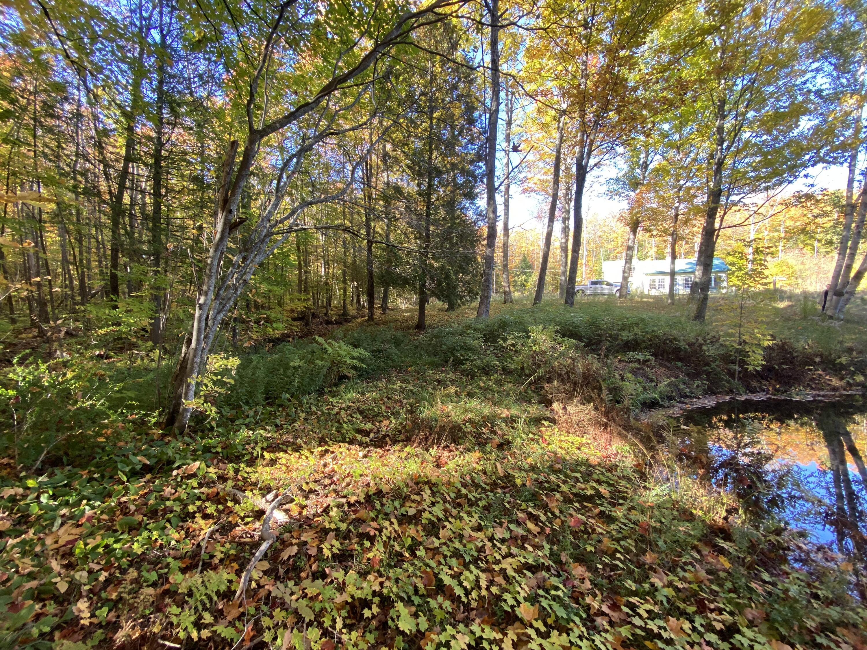 44 Sugartree Road Madawaska, ME 04773 - Photo 13 of 90 IMG_7519