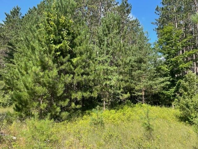 V/l V/l Windy Ridge Beulah, MI 49617 - Photo 6 of 20
