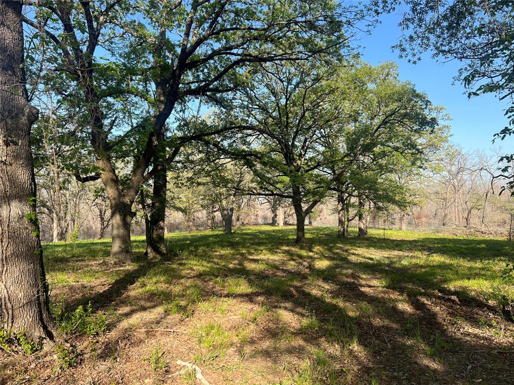 4776 County Road 2610 Bonham, TX 75418 - Photo 1 of 38 a view of field with trees