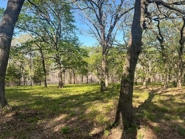 a big yard with trees