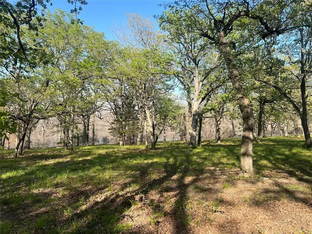 a view of outdoor space with yard