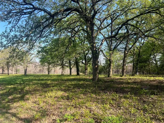 a big yard with lots of green space and trees