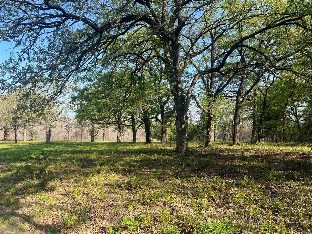 4776 County Road 2610 Bonham, TX 75418 - Photo 15 of 38 a view of a park that has large trees