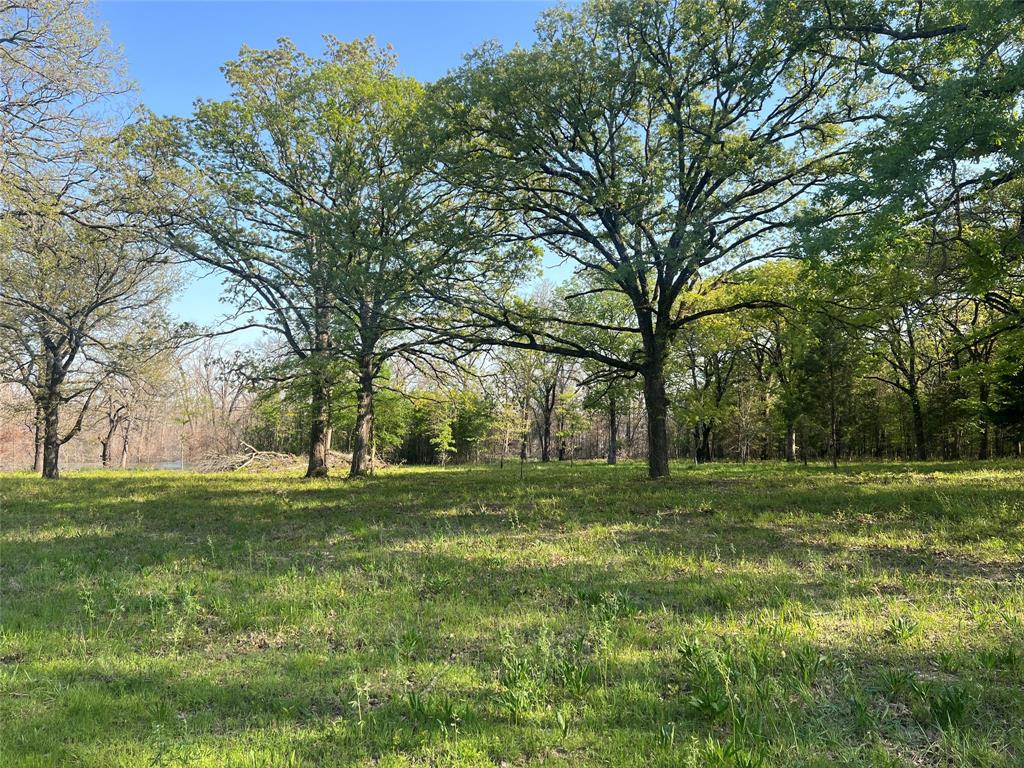 4776 County Road 2610 Bonham, TX 75418 - Photo 16 of 38 a big yard with lots of green space and trees
